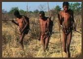 BUSHMENS au Bostwana