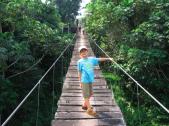 Marche en forêt tropicale au Cameroun (Décembre 2005)