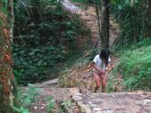Promenade en forêt amazonienne (Equateur – Décembre 2006)